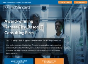 How netstandard.com looks like on a tablet such as an iPad.