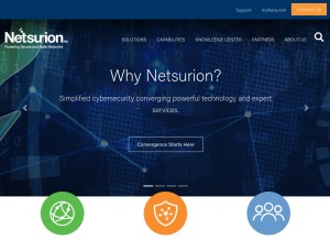 How netsurion.com looks like on a tablet such as an iPad.
