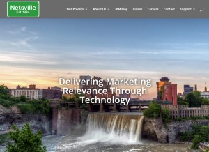 How netsville.com looks like on a tablet such as an iPad.