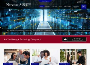 How netsynergy.com looks like on a tablet such as an iPad.