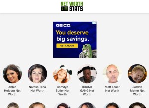 How networthstats.com looks like on a tablet such as an iPad.