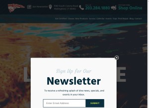 How newenglanddive.com looks like on a tablet such as an iPad.