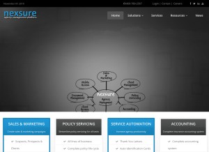 How nexsure.com looks like on a tablet such as an iPad.
