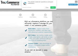 How nexternal.com looks like on a tablet such as an iPad.
