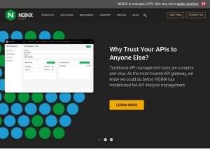 How nginx.com looks like on a tablet such as an iPad.