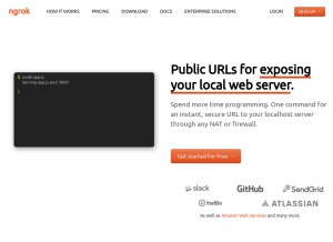 How ngrok.com looks like on a tablet such as an iPad.