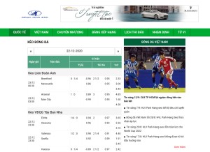 How nhandinh24h.com looks like on a tablet such as an iPad.