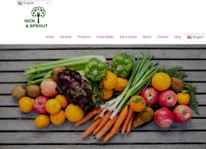 How nicksprout.com looks like on a tablet such as an iPad.