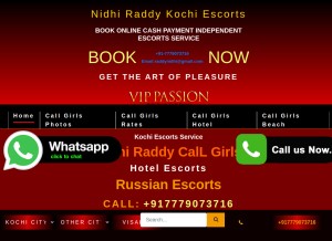 How nidhiready.com looks like on a tablet such as an iPad.