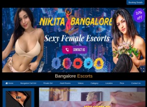 How nikitabangalore.com looks like on a tablet such as an iPad.