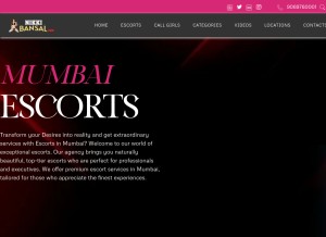 How nikitabansal.net looks like on a tablet such as an iPad.