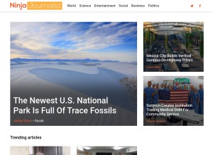 How ninjajournalist.com looks like on a tablet such as an iPad.