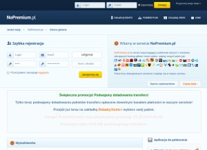 How nopremium.pl looks like on a tablet such as an iPad.