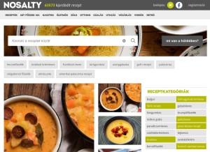 How nosalty.hu looks like on a tablet such as an iPad.