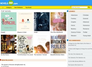 How novel80.com looks like on a tablet such as an iPad.