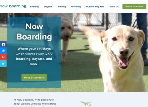 How nowboardingpets.com looks like on a tablet such as an iPad.