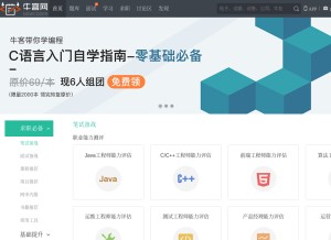 How nowcoder.com looks like on a tablet such as an iPad.