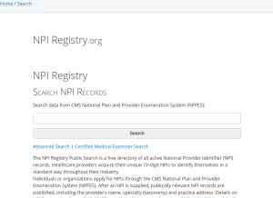 How npidata.info looks like on a tablet such as an iPad.