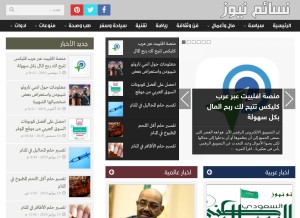 How nsaem.net looks like on a tablet such as an iPad.