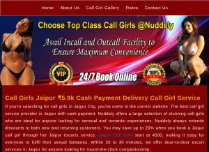 How nuddely.in looks like on a tablet such as an iPad.