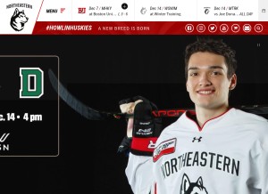 How nuhuskies.com looks like on a tablet such as an iPad.