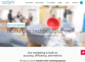 How numberly.com looks like on a tablet such as an iPad.