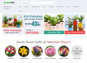How nurserylive.com looks like on a tablet such as an iPad.