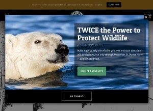 How nwf.org looks like on a tablet such as an iPad.