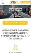 How odegoconseil.com looks like on a mobile device such as an iPhone.