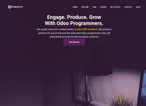 How odooprogrammer.com looks like on a tablet such as an iPad.