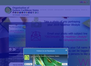 How oecs.org looks like on a tablet such as an iPad.