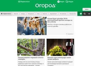 How ogorod.ru looks like on a tablet such as an iPad.