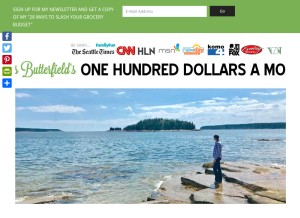 How onehundreddollarsamonth.com looks like on a tablet such as an iPad.