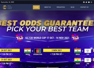 How onlinegamblinggames.in looks like on a tablet such as an iPad.