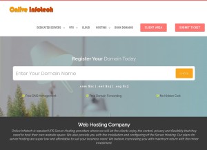 How onliveinfotech.org looks like on a tablet such as an iPad.
