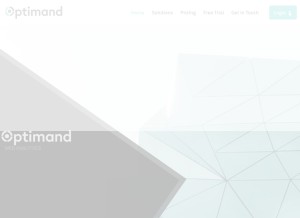 How optimand.com looks like on a tablet such as an iPad.