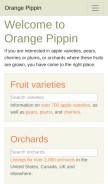 How orangepippin.com looks like on a mobile device such as an iPhone.