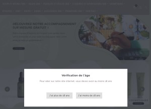 How originecbd.fr looks like on a tablet such as an iPad.
