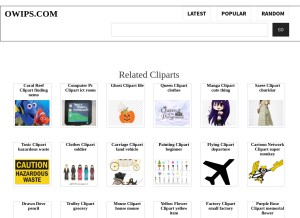 How owips.com looks like on a tablet such as an iPad.