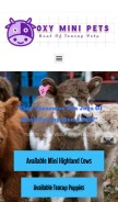 How oxyminipetsfarm.com looks like on a mobile device such as an iPhone.