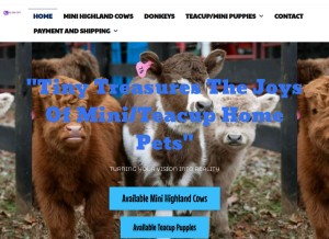 How oxyminipetsfarm.com looks like on a tablet such as an iPad.
