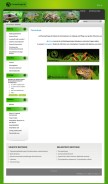How pacmanfrogs.de looks like on a mobile device such as an iPhone.