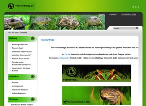How pacmanfrogs.de looks like on a tablet such as an iPad.