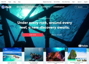 How padi.com looks like on a tablet such as an iPad.