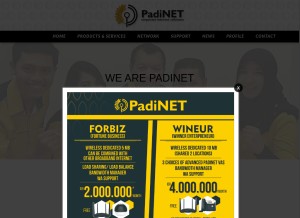 How padinet.com looks like on a tablet such as an iPad.