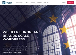 How pagelyhosting.com looks like on a tablet such as an iPad.