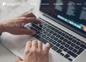 How paginaswebprofesionales.cl looks like on a tablet such as an iPad.