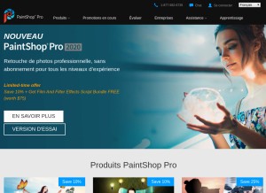 How paintshoppro.com looks like on a tablet such as an iPad.