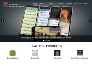 How pakdata.com looks like on a tablet such as an iPad.