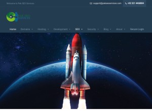 How pakseoservices.com looks like on a tablet such as an iPad.